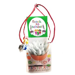 Planta decorativa Paint your plant - back to school