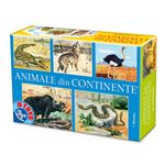 joc-colectiv-d-toys-animale-din-continente-8869658656798.jpg