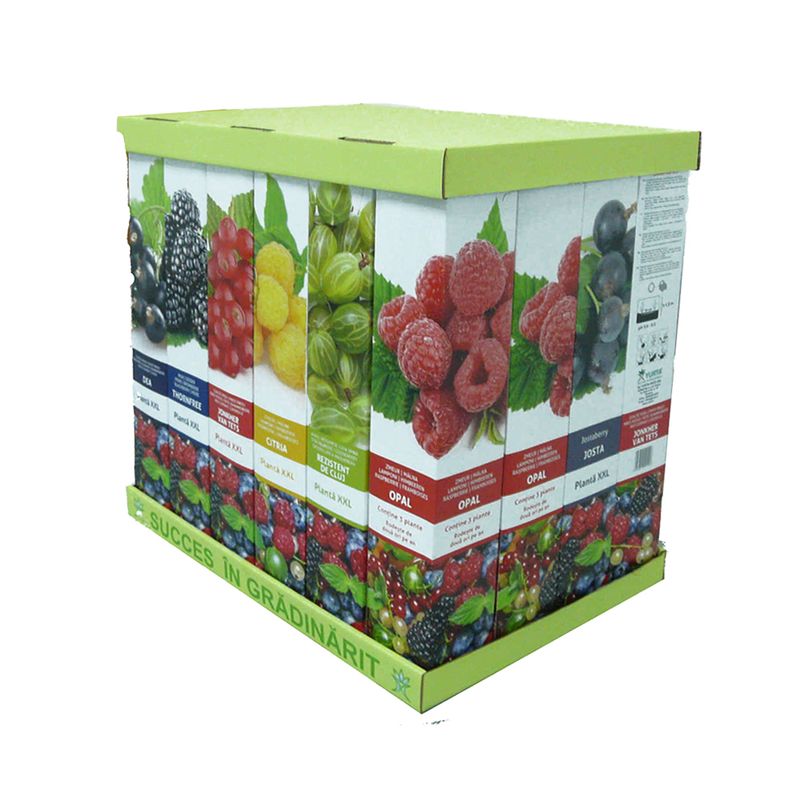 arbusti-fructiferi-xxl-8899371008030.jpg