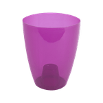 ghiveci-miltonia-ametist-8853152301086.png