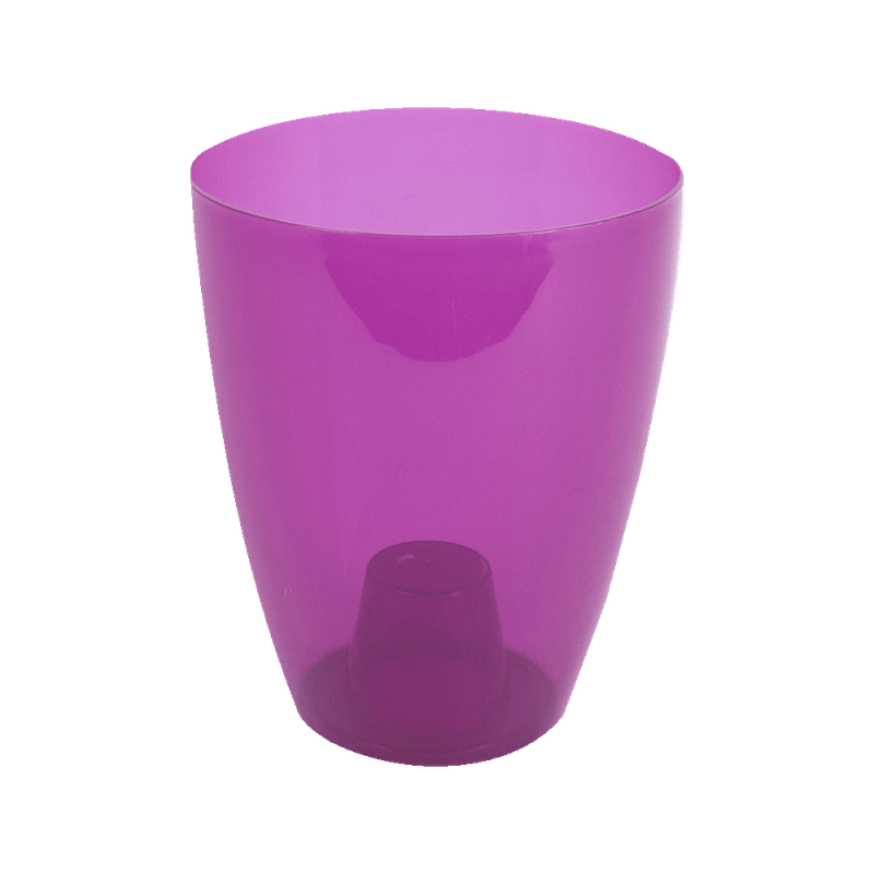ghiveci-miltonia-ametist-8853152301086.png