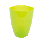 ghiveci-miltonia-verde-8853153087518.png