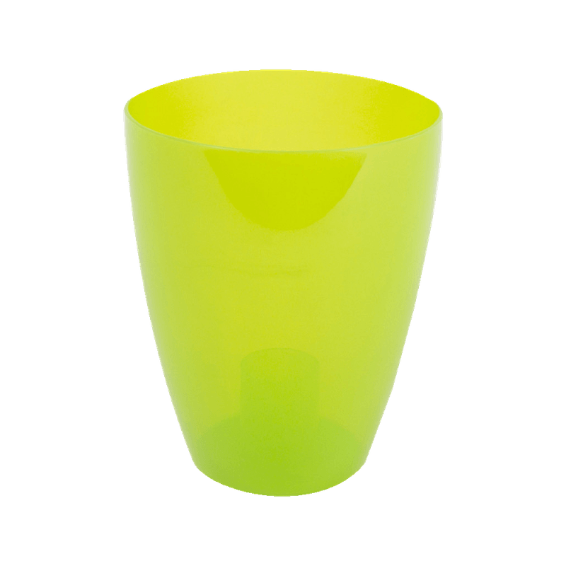 ghiveci-miltonia-verde-8853153087518.png
