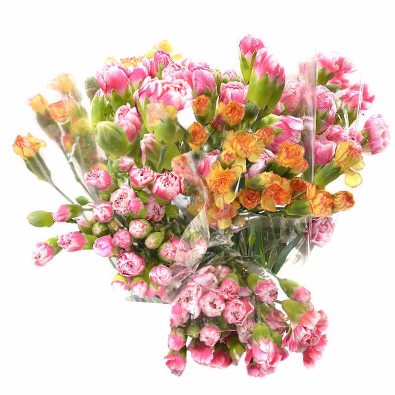 buchet-garofite-9-fire-8949412659230.jpg