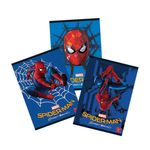 caiet-capsat-pigna-cu-24-de-file-a5-tip-1-model-spider-man-homecoming-8851429556254.jpg