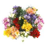 buchet-freesia-9-fire-8949402566686.jpg