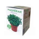 magheran-majorana-hortensis-8899362619422.jpg