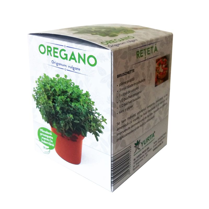 oregano-origanum-vulgare-8899366289438.jpg