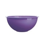 bol-rotund-din-plastic-de-culoare-violet-8878966505502.jpg