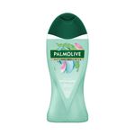 gel-de-dus-palmolive-natural-wellness-500-ml-9000299986974.jpg