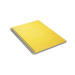 caiet-format-a4-225x297mm-80-file-dictando-diverse-culori-9444285218846.jpg