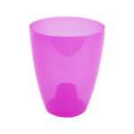 ghiveci-miltonia-fuchsia-8853150990366.png