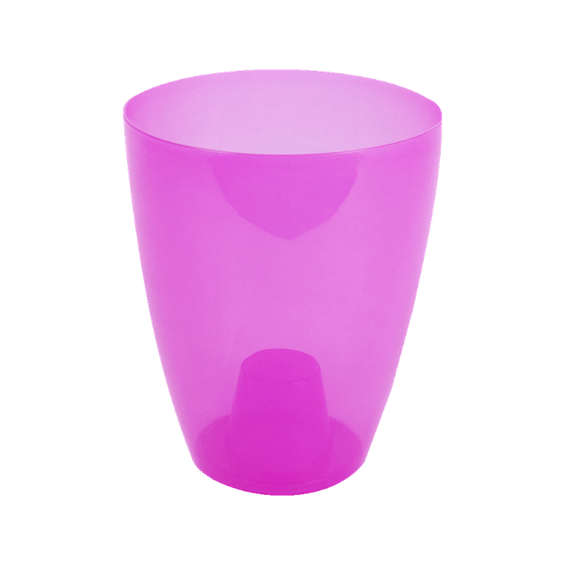 ghiveci-miltonia-fuchsia-8853150990366.png