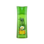 sampon-plant-line-galbenele-400ml-9281486520350.jpg