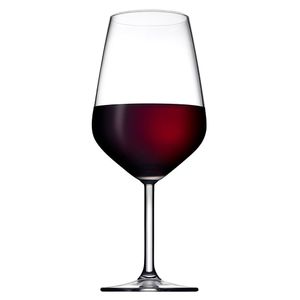 Set 6 pahare cu picior Pasabache Allegria pentru vin rosu, 490 ml