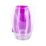 ghiveci-miltonia-crystal-8853152825374.png