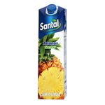 nectar-de-ananas-santal-50-1-l-8945056612382.jpg