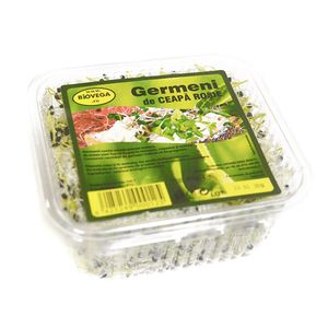 Germeni de ceapa rosie BioVega, 50g