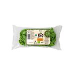 rucola-eco-auchan-100g-5949084021790_1_1000x1000img