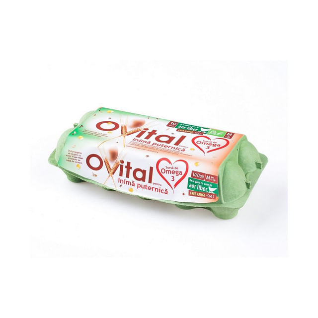 ceserola-de-plastic-cu-10-oua-proaspete-ovital-8876319735838img
