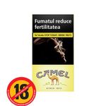 tigari-camel-filters-100-s-4033100050541_1_1000x1000