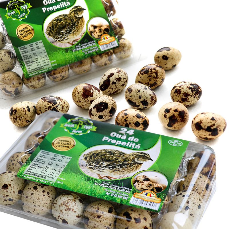 oua-de-prepelita-fresh-eggs-farm-24-bucati