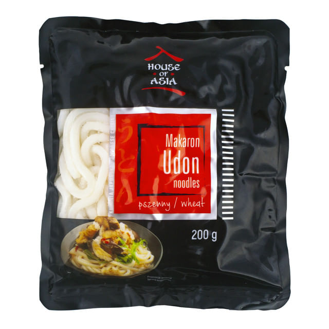 fresh-undon-noodle