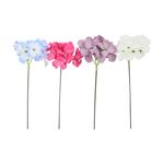 fir-hortensia-22-cm-diverse-culori