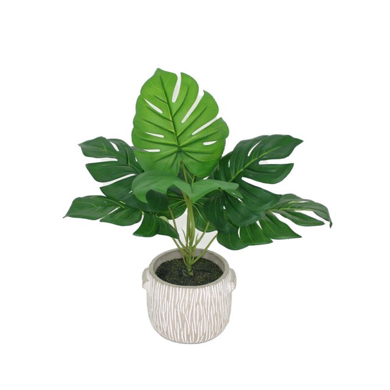 ghiveci-monstera-35-cm-verde