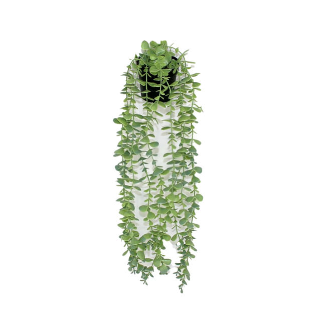 ghiveci-planta-ornamentala-52-cm