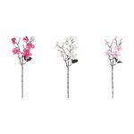 magnolie-66-cm-diverse-culori