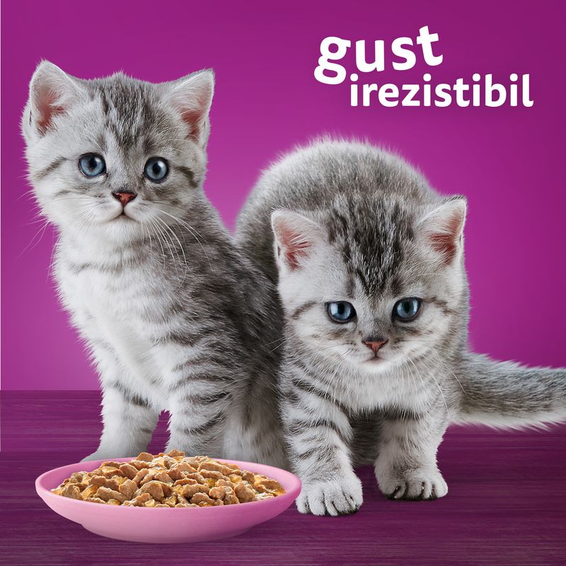 Hrana umeda pentru pisici junioare Whiskas Junior cu pui in aspic, 85 g Pret avantajos Auchan.ro