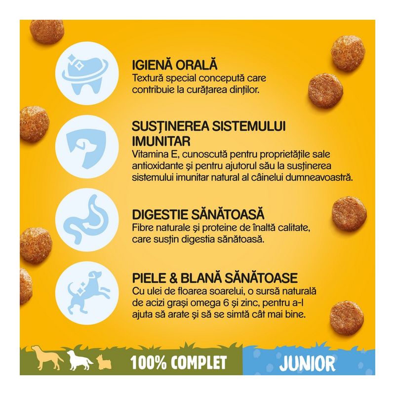 Pedigree junior outlet 3kg