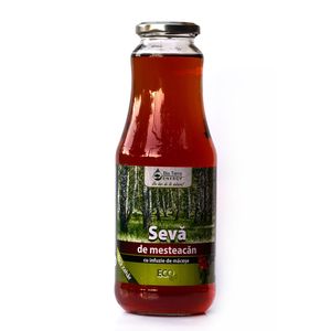 Seva de mesteacan Bio Terra, cu infuzie de macese, 1 l