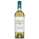 vin-alb-sec-viile-metamorfosis-feteasca-alba-sauvignon-blanc-0-75l-sgr