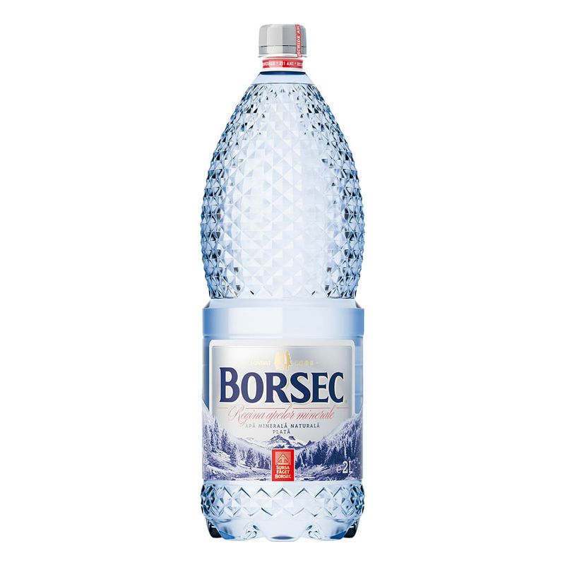 apa-plata-borsec-2l-sgr