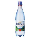 apa-carbogazoasa-minerala-borsec-0-5l-sgr