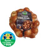 ceapa-galbena-la-plasa-2-kilograme