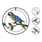 decoratiune-perete-diverse-forme-pasari-35cm