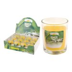 lumanare-parfumata-citronella