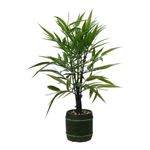 planta-artificiala-decorativa-48-cm