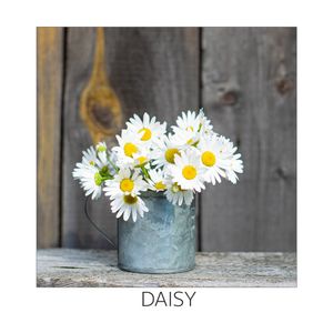 Servetele decorative Actuel model Daisy, 3 straturi, 20 de bucati, 33 x 33 cm