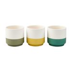 ghiveci-flori-garden-star-8-5cm-diverse-culori-luberon