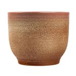ghiveci-flori-garden-star-14-5cm-cocora