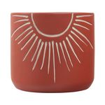 ghiveci-flori-garden-star-d13cm-cocora