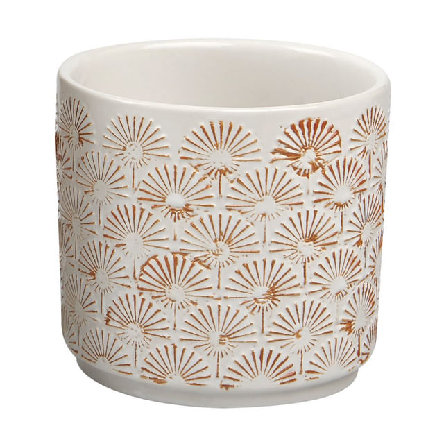set-3-ghivece-garden-star-diverse-dimensiuni-cocora