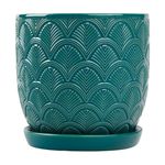 ghiveci-cu-farfurie-garden-star-14-5cm-cocora