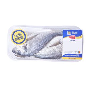 Dorada Eviscerata, +/- 1 kg