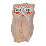 carcasa-de-rata-lili-gri-2-2-kg