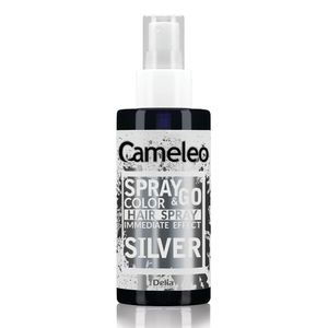 Spray nuantator Delia Cameleo Spray&Go, silver, 150 ml